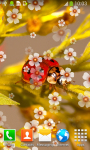 Ladybug Live Wallpapers Best screenshot 4/6