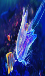 Jellyfish Live Wallpapers Free screenshot 2/4