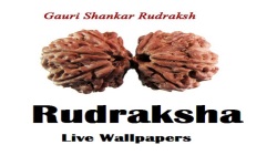 Rudraksha Live Wallpapers screenshot 1/2
