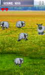 Android Sheep Game / Lamb Game screenshot 1/6