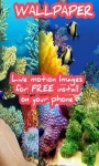 Touch the Fish Live Wallpaper Free screenshot 3/3