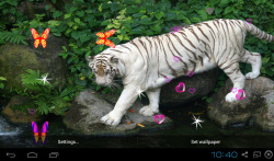 3D Bengal Tiger Live Wallpapers screenshot 1/5