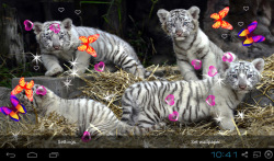 3D Bengal Tiger Live Wallpapers screenshot 5/5