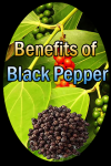 Benefits of Black Pepper screenshot 1/3