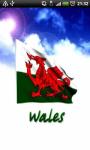 Wales Flag screenshot 1/1