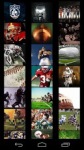 American Football Wallpapers by Nisavac Wallpapers screenshot 1/5