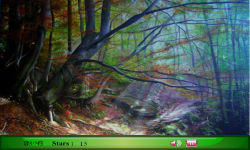 Fantasy Forest screenshot 3/3