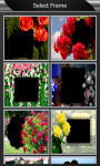 Rose Flower Photo Frames screenshot 2/6