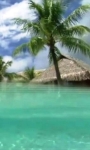 Smartphone in the tropical sea live wallpaper screenshot 3/4