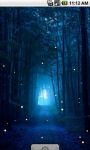 Night Fireflies Live Wallpaper screenshot 1/4