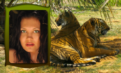 Tiger Photo Frames Free screenshot 2/6
