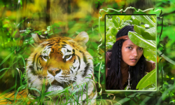 Tiger Photo Frames Free screenshot 3/6