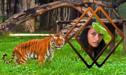 Tiger Photo Frames Free screenshot 6/6