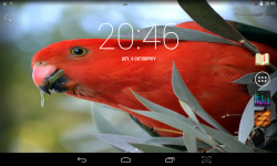 Beautiful Birds Live screenshot 3/4