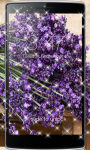Lavender Wallpaper HD background screenshot 1/4