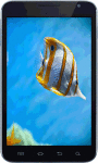 The Real Aquarium Live Wallpaper HD screenshot 2/5