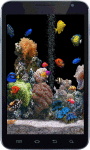 The Real Aquarium Live Wallpaper HD screenshot 4/5