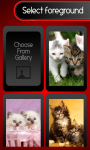 Zipper Locker - Cute Kittens screenshot 3/6
