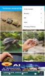 Tortoise around the world 4K سلحفاة   screenshot 2/6