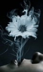 Flower Smoke Live Wallpaper screenshot 1/3