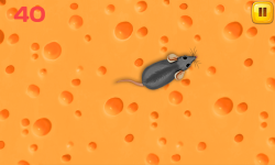 Cat Mouse Toy screenshot 2/3