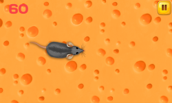 Cat Mouse Toy screenshot 3/3