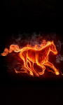 Horse Fire Live Wallpaper screenshot 1/3