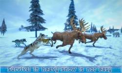 Arctic Wolf Sim 3D screenshot 1/5