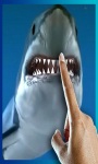 Shark Tank In Your Phone LWP free screenshot 2/3