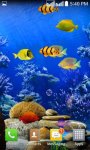 Touch the  Fish  Live Wallpaper  Free screenshot 1/2