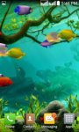 Touch the  Fish  Live Wallpaper  Free screenshot 2/2