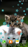 Sweet Kittens Live Wallpapers screenshot 2/6