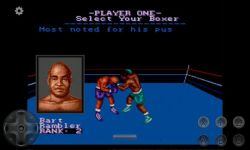 Muhammad Ali Heavyweight Boxing screenshot 2/4