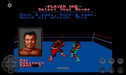Muhammad Ali Heavyweight Boxing screenshot 4/4