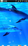 Underwater Swimming Dolphin Live Wallpaper screenshot 1/6