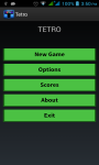 New Tetris Game screenshot 1/6