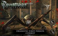 Ravensword Shadowlands 3d RPG regular screenshot 3/6
