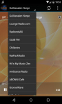 Free Radio Lounge screenshot 4/4