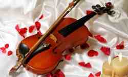 Cute Violin Music screenshot 1/1