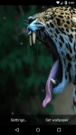 Beautiful Leopard Live Wallpaper HD screenshot 4/6