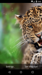 Beautiful Leopard Live Wallpaper HD screenshot 6/6