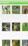 Bird Species screenshot 1/6
