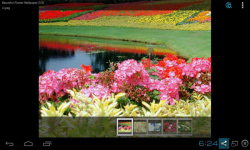 Beautiful Flowers Wallpaper Free screenshot 2/5