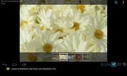 Beautiful Flowers Wallpaper Free screenshot 4/5