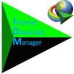 Best internet download manager for mobile screenshot 1/1
