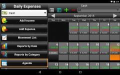 Daily Expenses License full screenshot 4/6