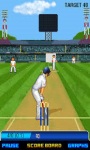 Best Cricket Game pro screenshot 1/6