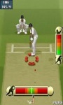 Best Cricket Game pro screenshot 5/6
