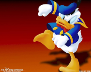Donald Duck Wallpaper HD screenshot 3/6
