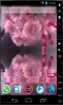 Cherry Blossoms Reflection Live Wallpaper screenshot 1/2